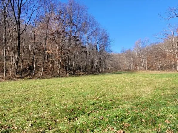 Johnson Run Rd, Newcomerstown, OH 43832