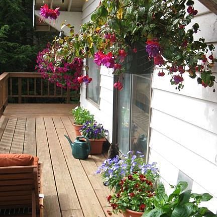 Front Deck