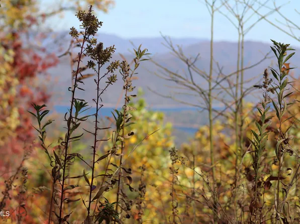 48 Locust Ln, Butler, TN 37640