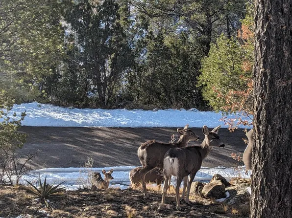 104 Edinburgh Pl, Ruidoso, NM 88345