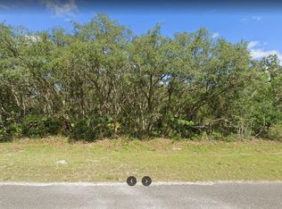 Fisher Rd LOT 33, Ocklawaha, FL 32179