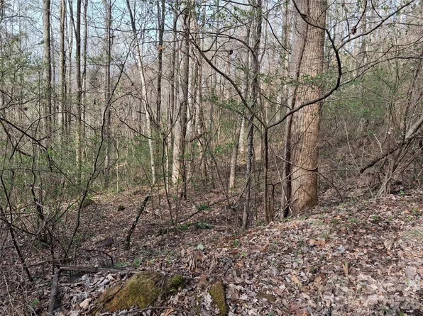 Bel Air Road 21 23 27 28 31 #18-19-33, Cullowhee, NC 28723