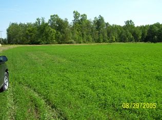 Saginaw Rd, Mayville, MI 48744