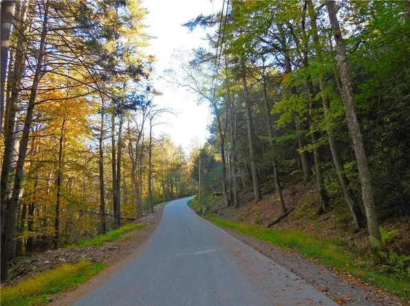 4 Gumaer Falls Road, Wurtsboro, NY 12790