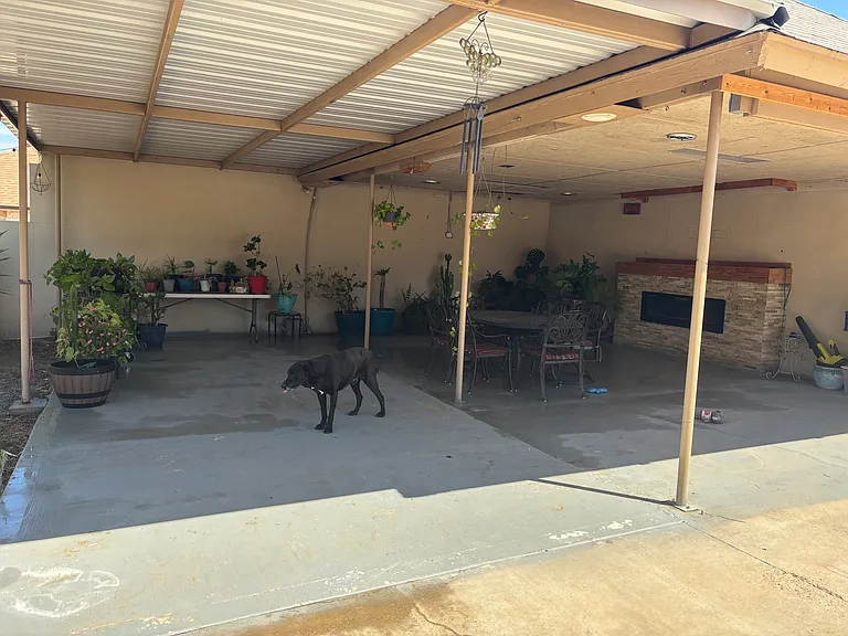 Back Patio