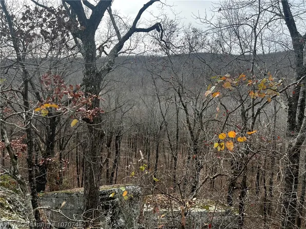 Old 88 Rd, Chester, AR 72934