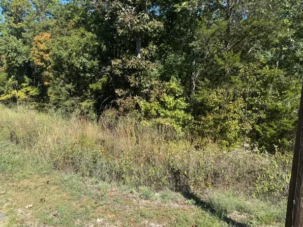 80 Wild Turkey Dr #5, Eureka Springs, AR 72631