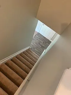 10297 Cardigan Dr — Photo 17