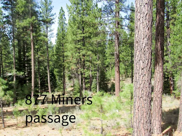 877 Miners Psge, Clio, CA 96106