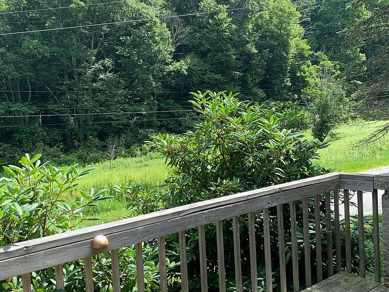 726 Middle Fork Rd — Photo 31