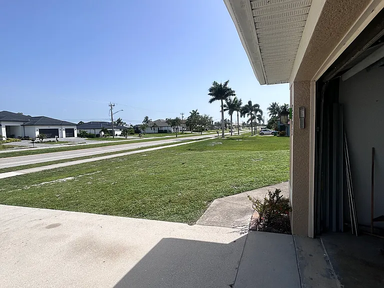 The neighborhood