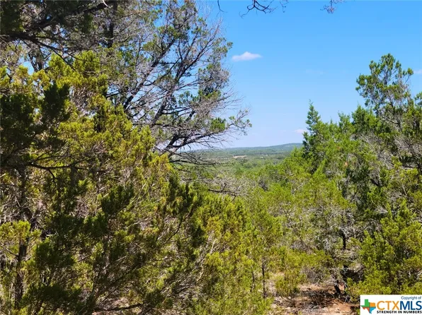 1077 Stallion Springs Dr, Fischer, TX 78623