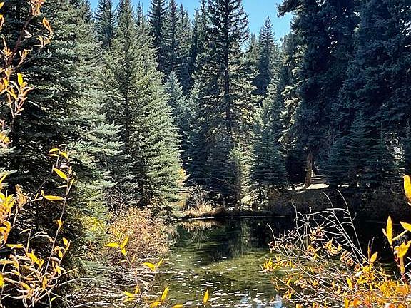 5th image of 3 Boletus Creek Drive