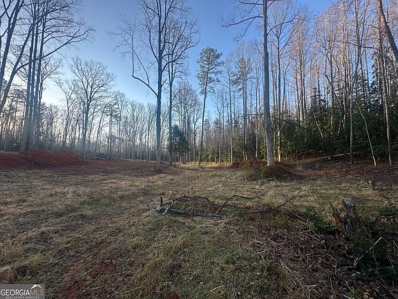 4th image of 0 Rustic Beaver