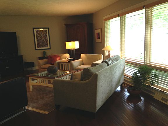 Living Room Windows
