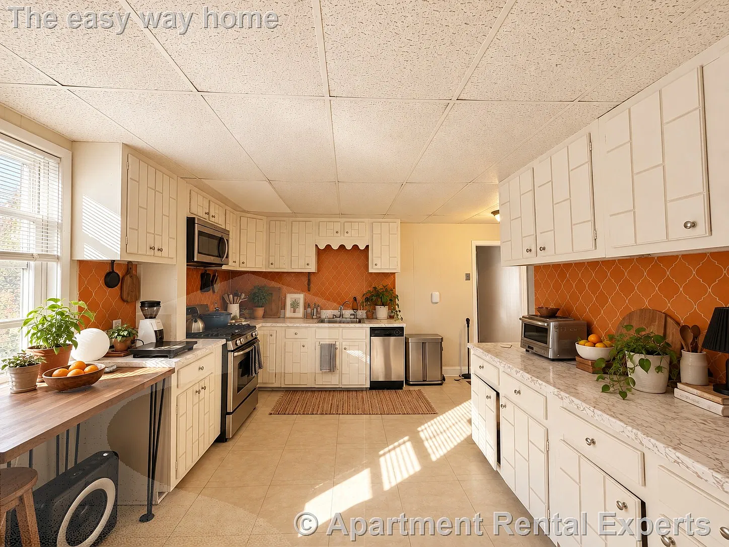 3 bed, 9999 sqft, $3,000 — Photo 2