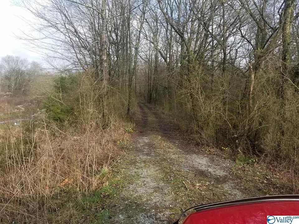 2nd image of Kirby Ln