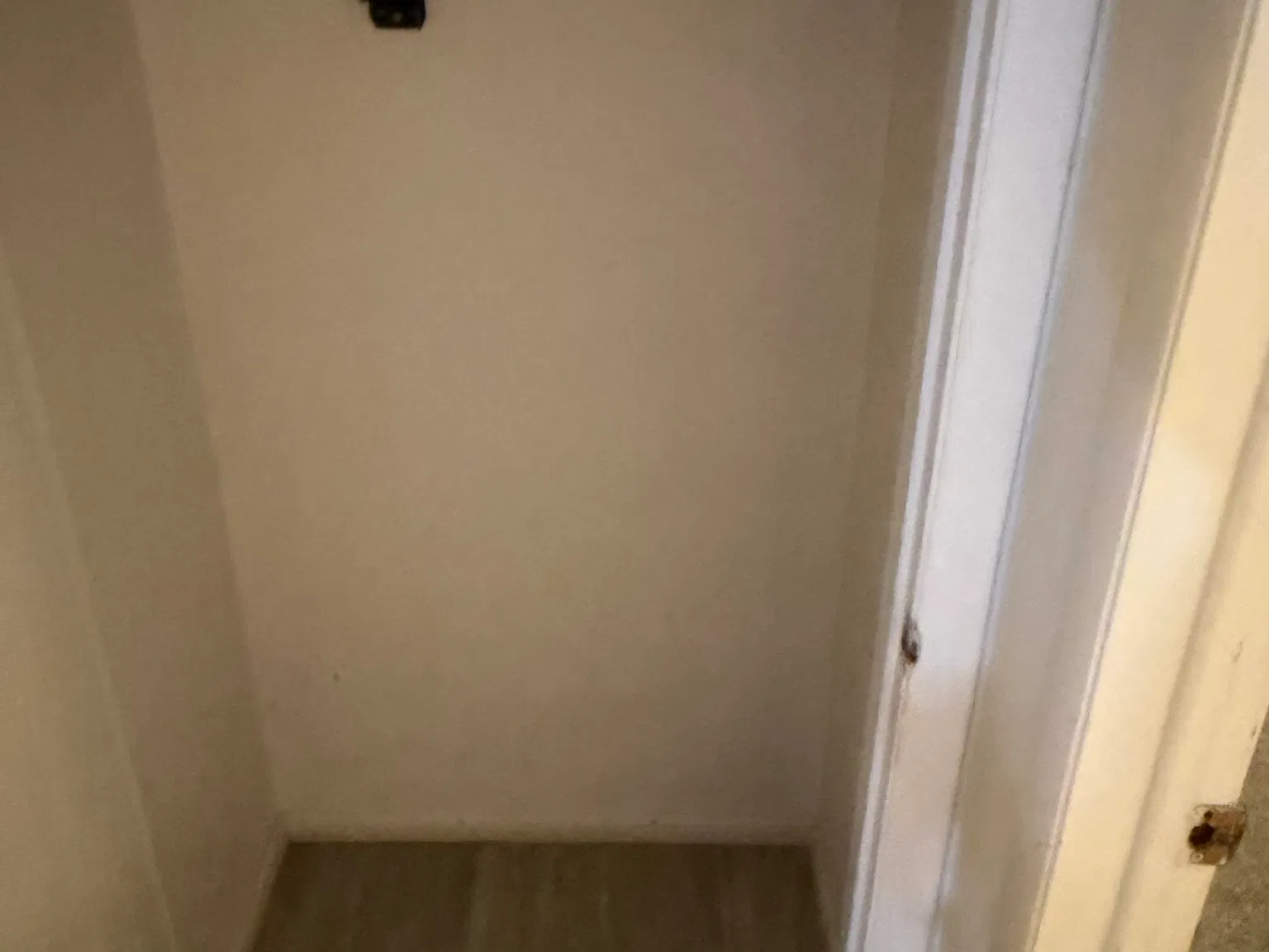 2 bed, 900 sqft, $1,450 — Photo 3
