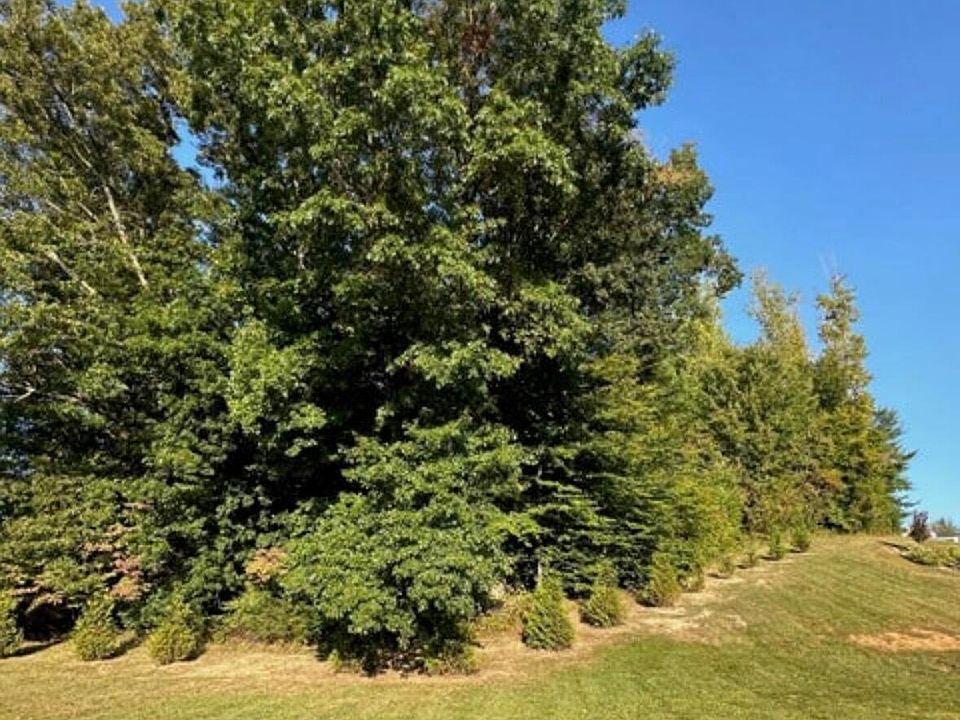 2nd image of LOT 3 Sylvias Mdw