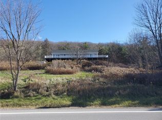 6668 S Old Bald Hill Rd, Springwater, NY 14560