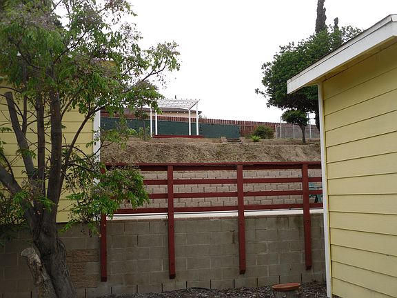 Backyard up the Hill!