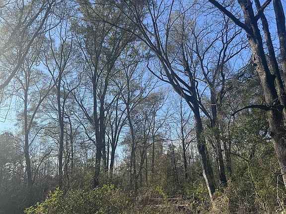 5th image of 5903 Line Rd