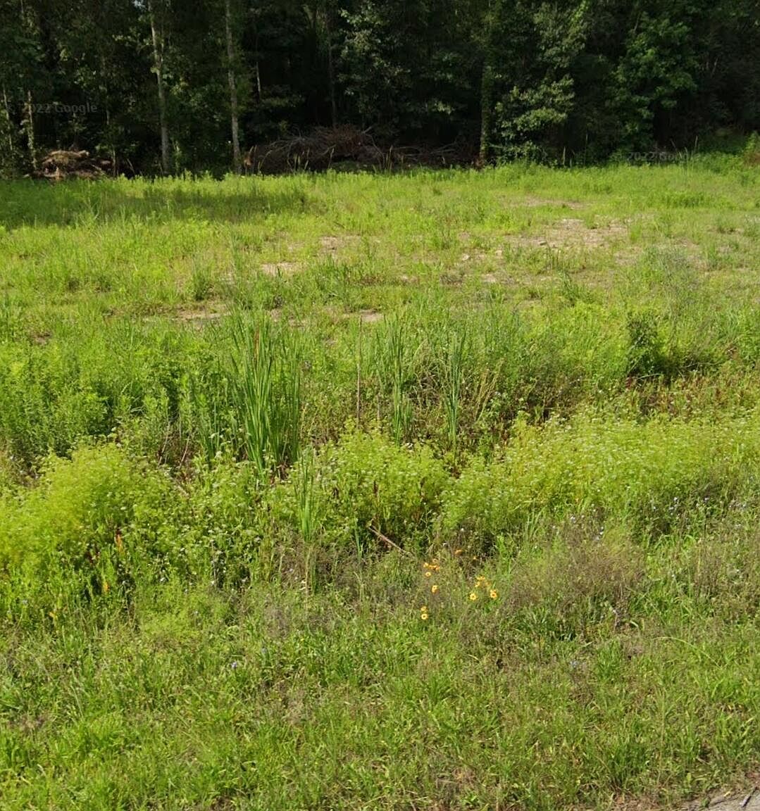 739 Ridge Rd, Lafayette, LA 70506 MLS 23002458 Zillow