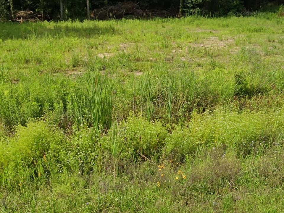 739 Ridge Rd, Lafayette, LA 70506 MLS 23002458 Zillow