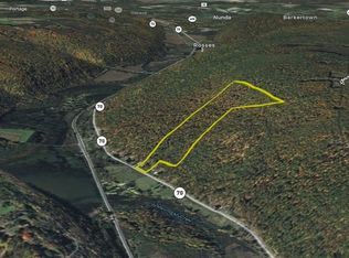 11230 State Route 70, Swain, NY 14884