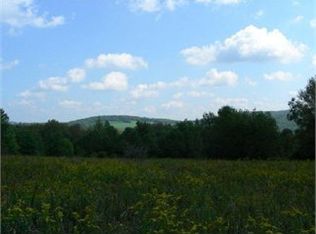 126 Sanly Rd, Franklin, NY 13775