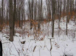 Springbrook Rd S, Boyne falls, MI 49713