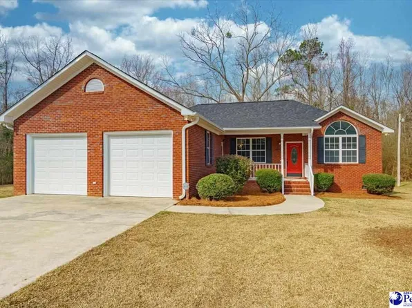 6607 Francis Marion Rd, Effingham, SC 29541