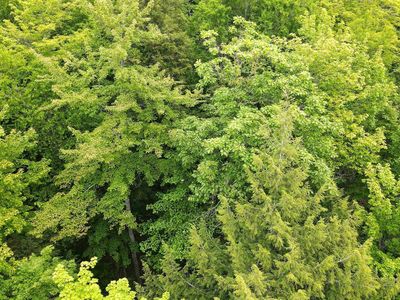 Off Donken Tapiola Rd, Toivola, MI, 49965