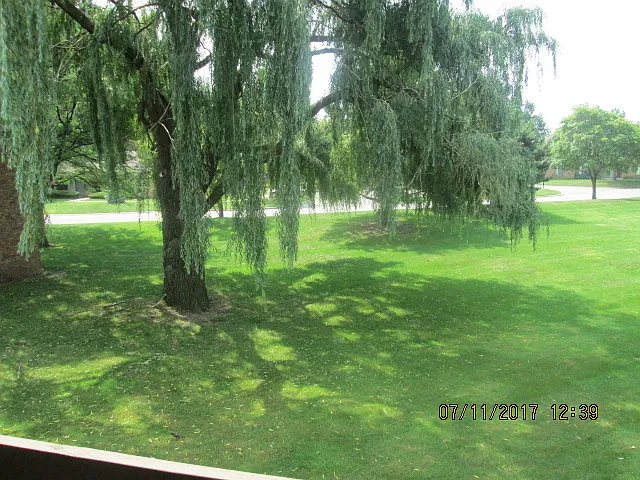Eastwood Village Apartments — Photo 55