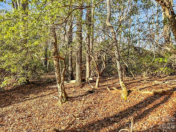 3rd image of 1647 Mills River Way