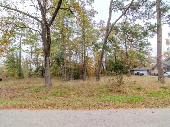 24510 Pine Canyon Dr, Spring, TX 77380