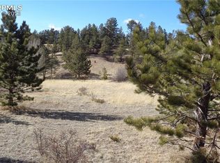 1609 Monarch Dr, Cripple Creek, CO 80813