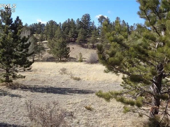 1609 Monarch Dr, Cripple Creek, CO 80813