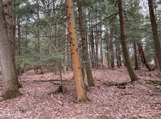 LOT 1372 Four Logtown Rd, Sprakers, NY 12166