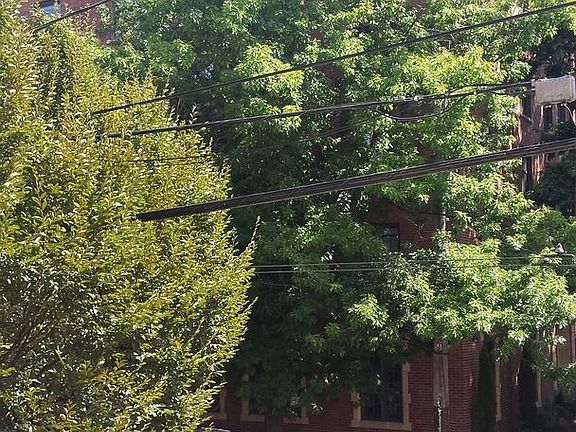 4th image of 1717 Bellevue Ave