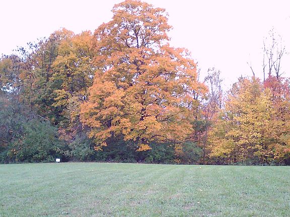 4th image of 1693 Hardin Ln