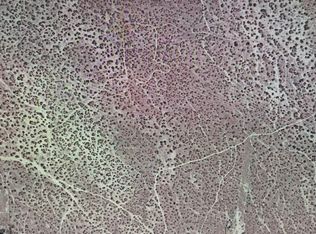 0 E Avenue R, Littlerock, CA 93543