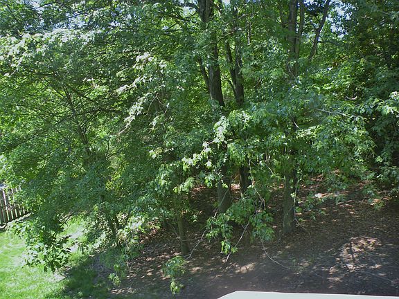 3rd image of 51 Clarion Dr