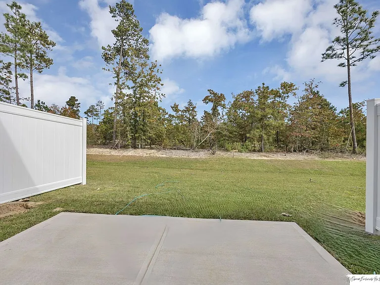 231 Sunny Hill Dr — Photo 27