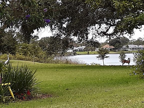 Side lot view from house