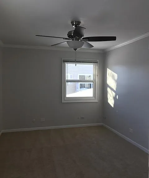 335 Donna Ct #B — Photo 8
