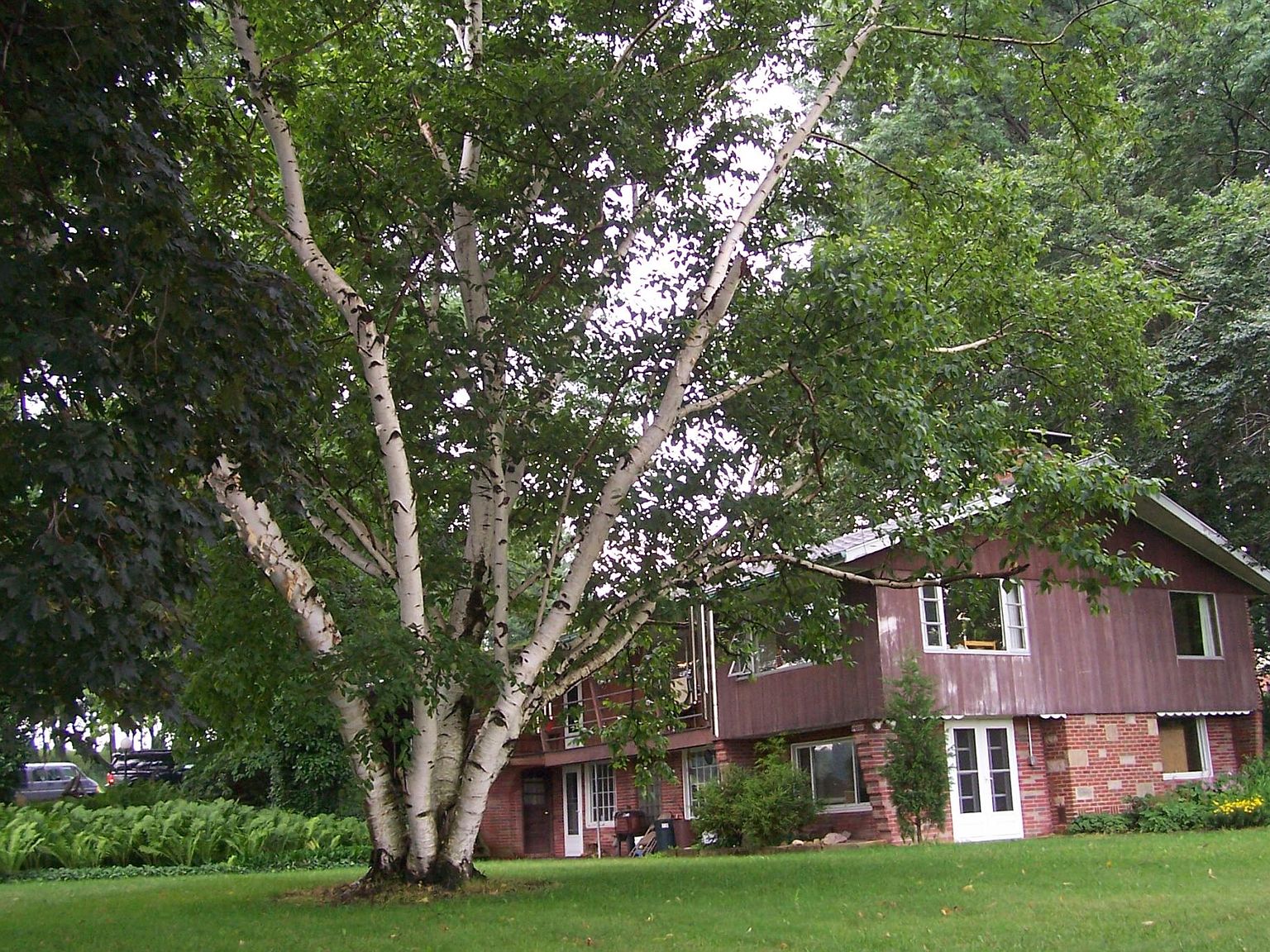 845C Akron Rd, Wadsworth, OH 44281 Zillow