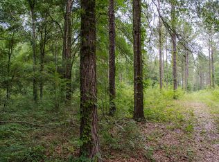 2580 Lake Douglas Rd, Bainbridge, GA 39819