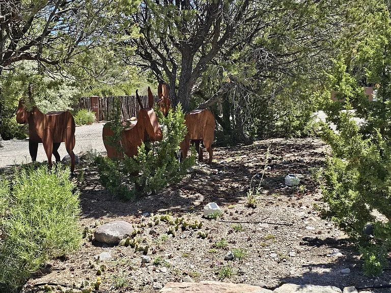 1306 Lejano Ln — Photo 23