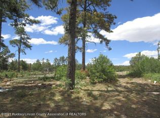 280 Indian Divide Rd, Capitan, NM 88316
